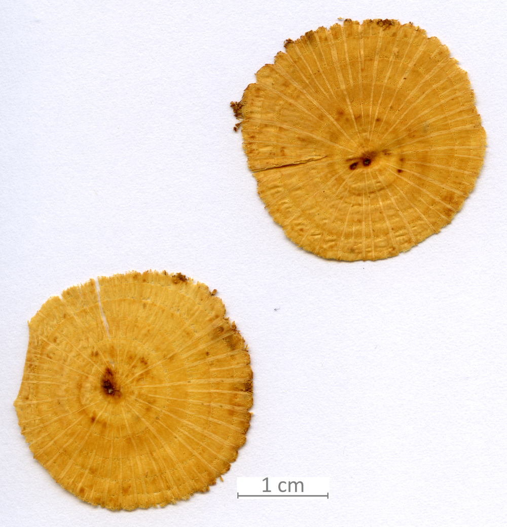 139_XT0025XX sezione trasversale