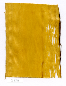 140_XT0050XX sezione longitudinale