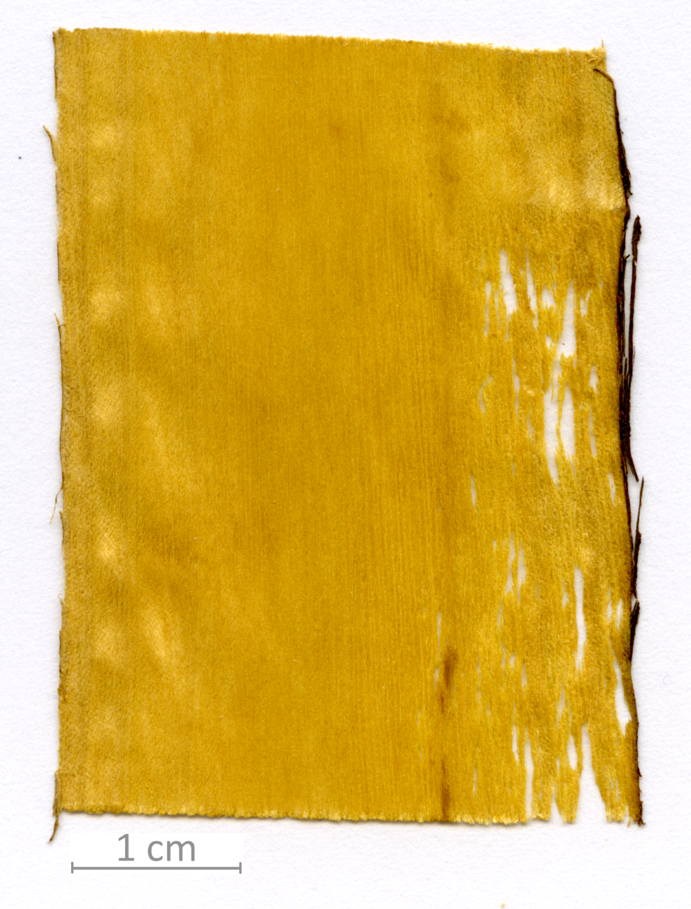 140_XT0050XX sezione longitudinale