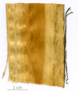 141_XT0068XX sezione longitudinale