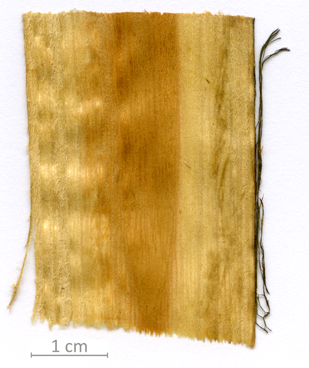 141_XT0068XX sezione longitudinale