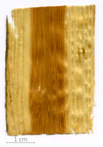 141_XT0068XX sezione longitudinale