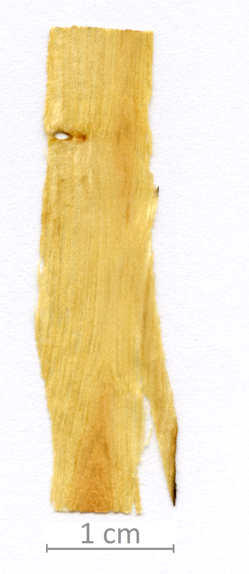 142_XT0038XX sezione longitudinale