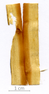 142_XT0038XX sezione longitudinale