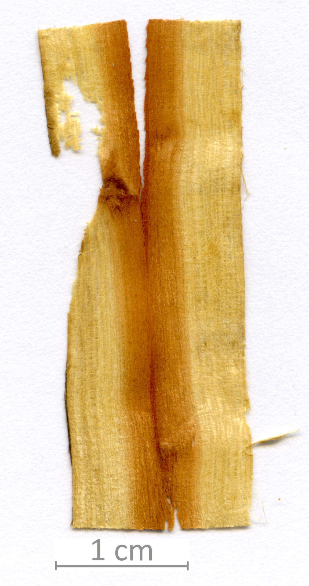 142_XT0038XX sezione longitudinale