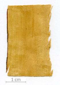 143_XT0008XX sezione longitudinale