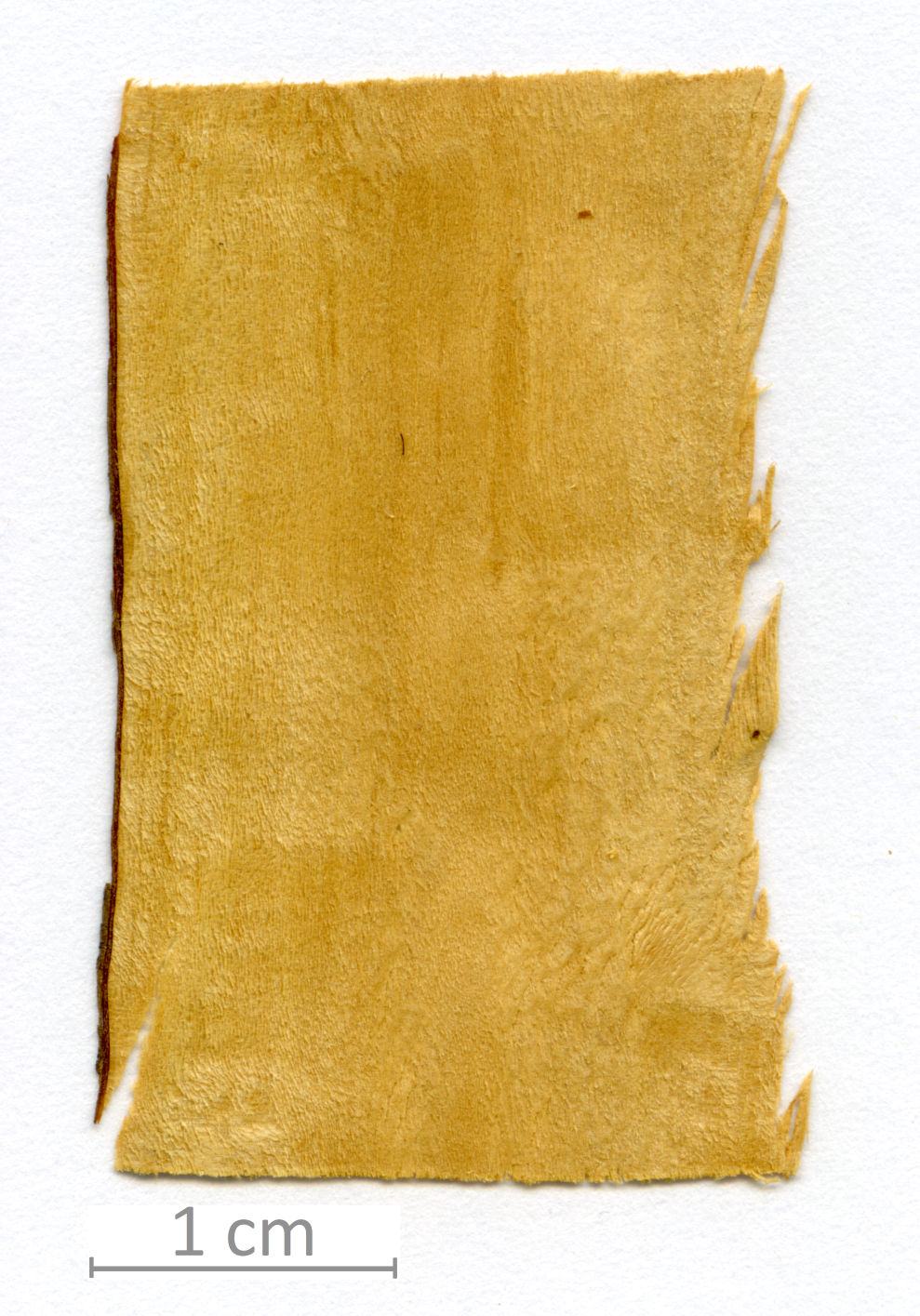 143_XT0008XX sezione longitudinale