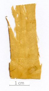 145_XT0007XX sezione longitudinale tangenziale