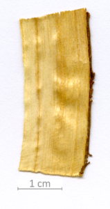 146_XT0098XX sezione longitudinale