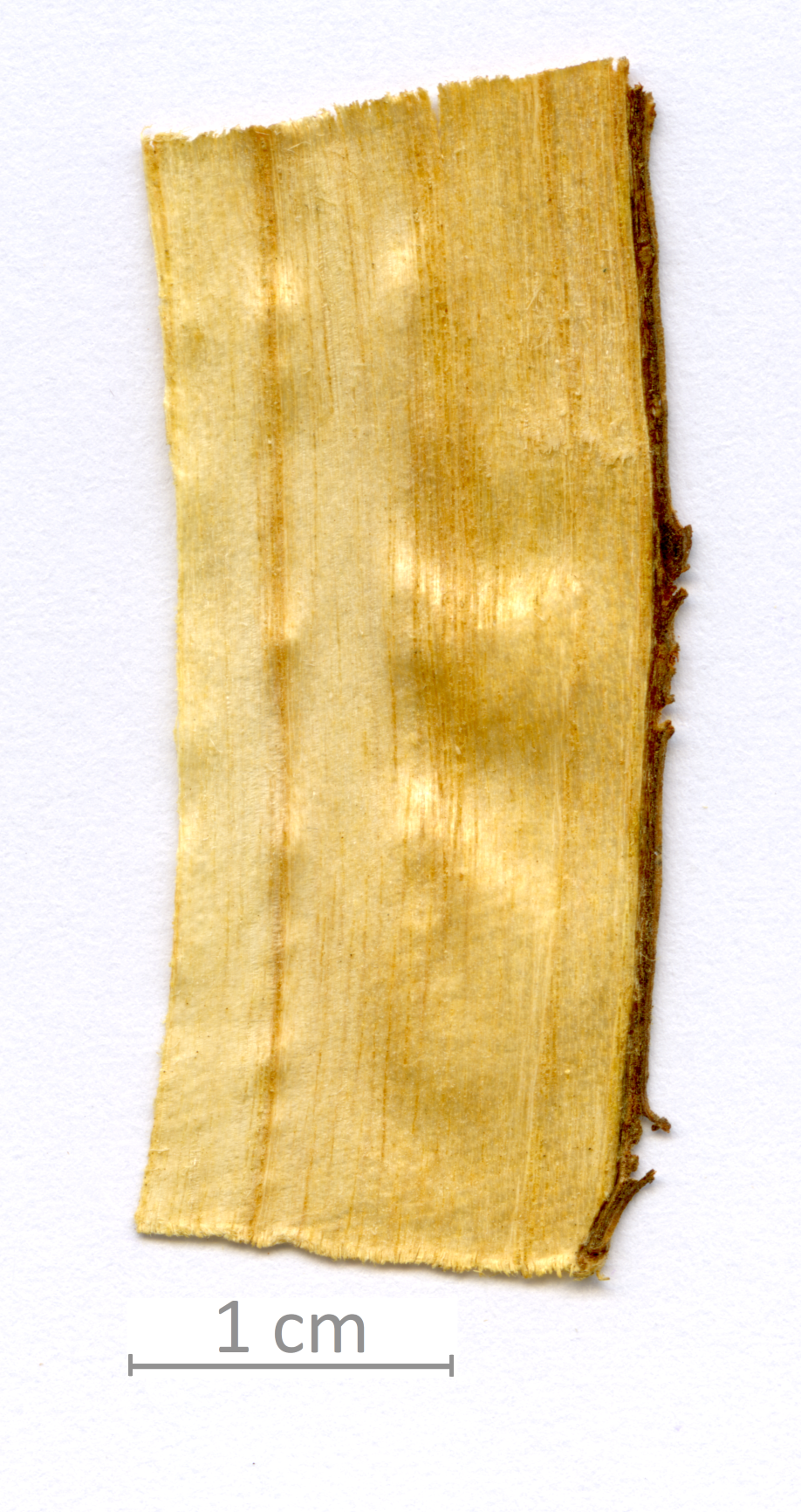 146_XT0098XX sezione longitudinale