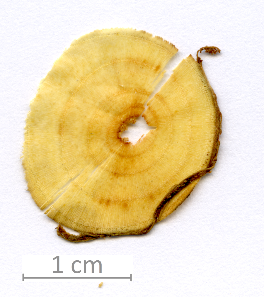 146_XT0098XX sezione trasversale