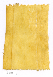 147_XT0039XX sezione longitudinale