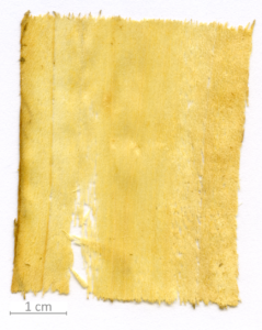 147_XT0039XX sezione longitudinale