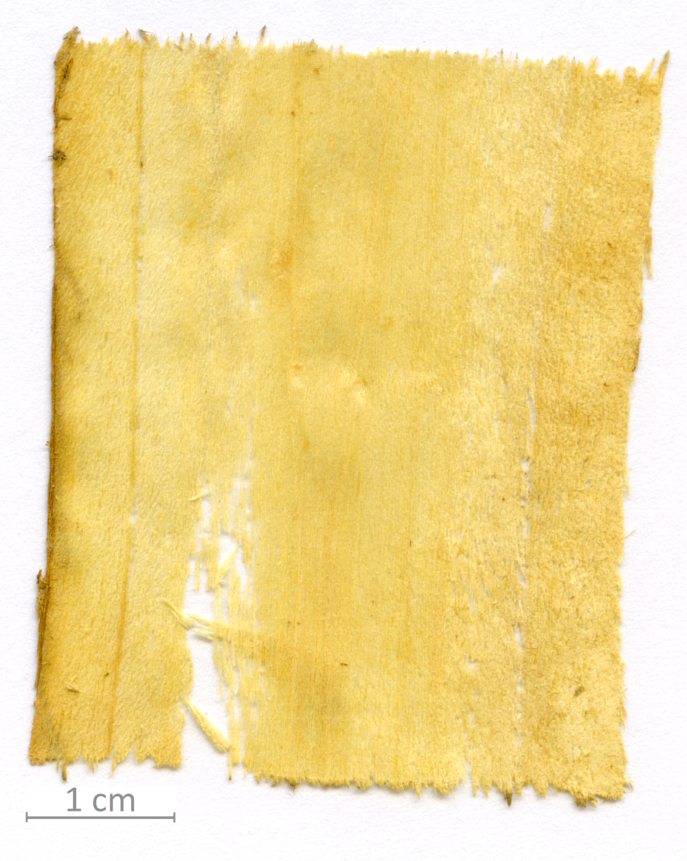 147_XT0039XX sezione longitudinale