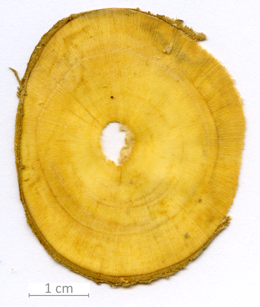 147_XT0039XX sezione trasversale