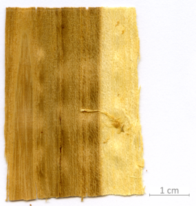 148_XT0096XX sezione longitudinale