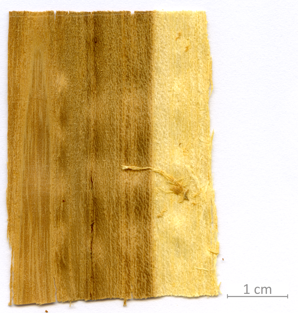 148_XT0096XX sezione longitudinale