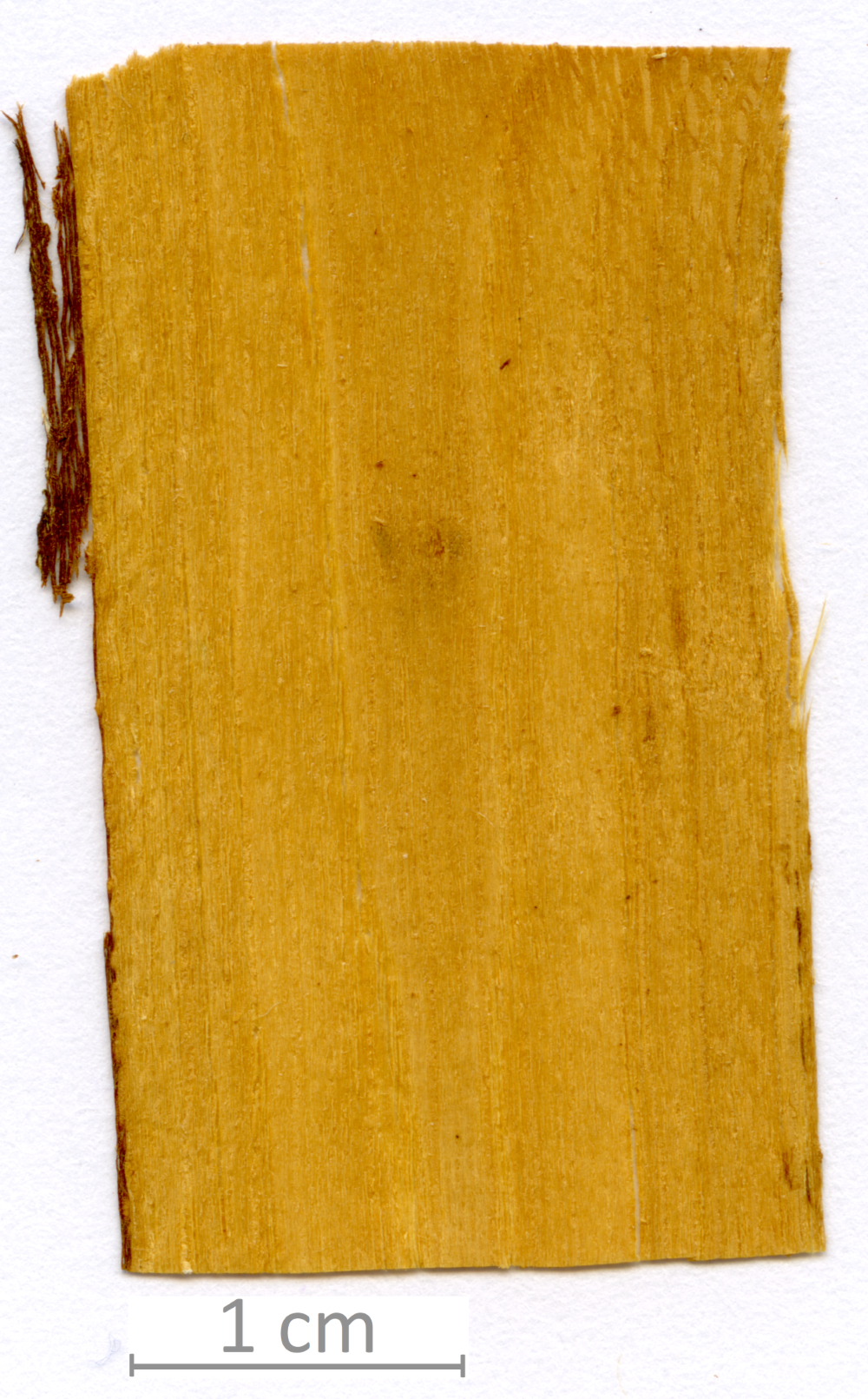 149_XT0093XX sezione longitudinale