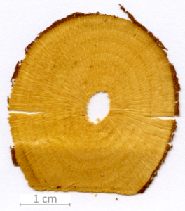 149_XT0093XX sezione trasversale