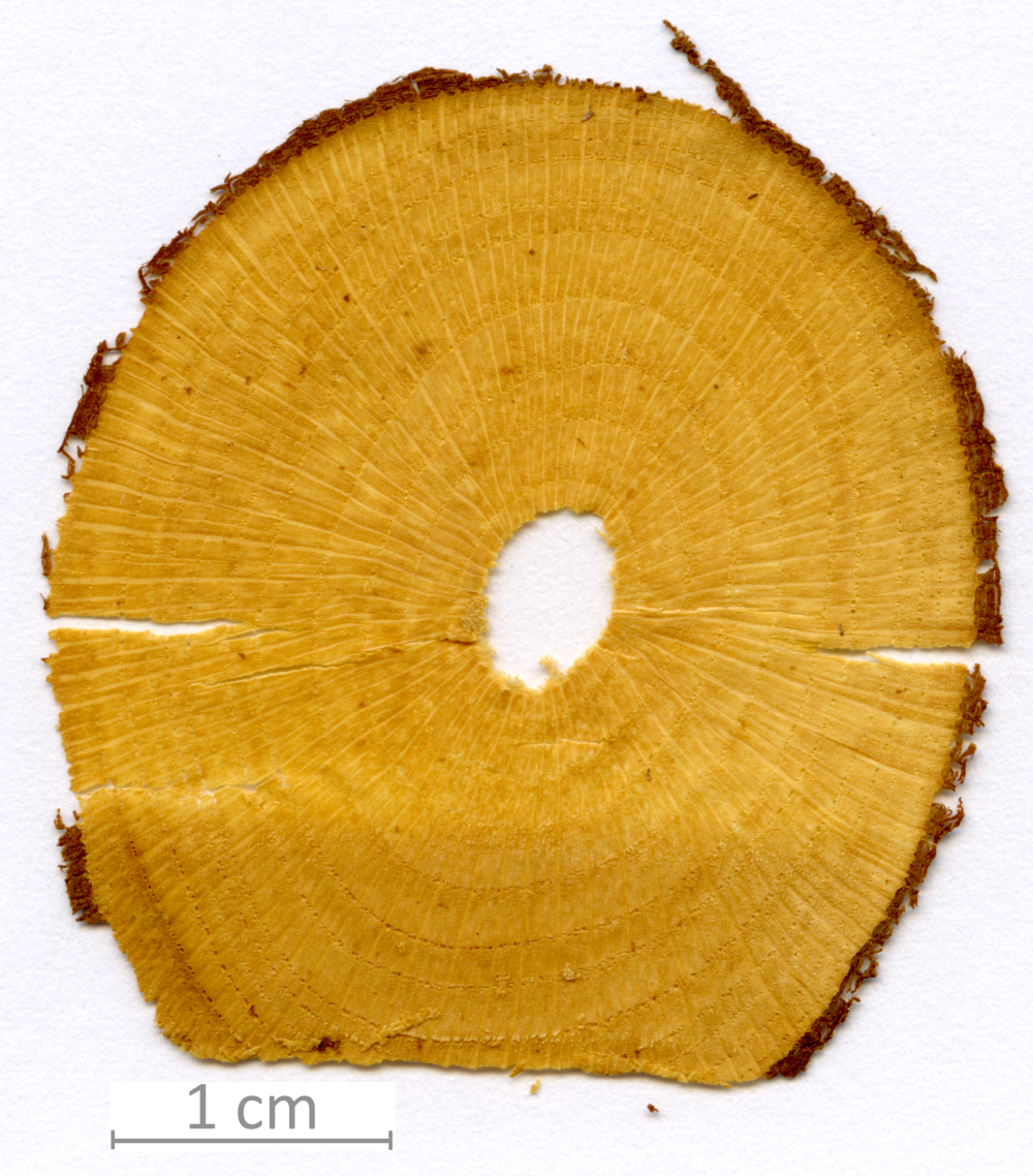 149_XT0093XX sezione trasversale