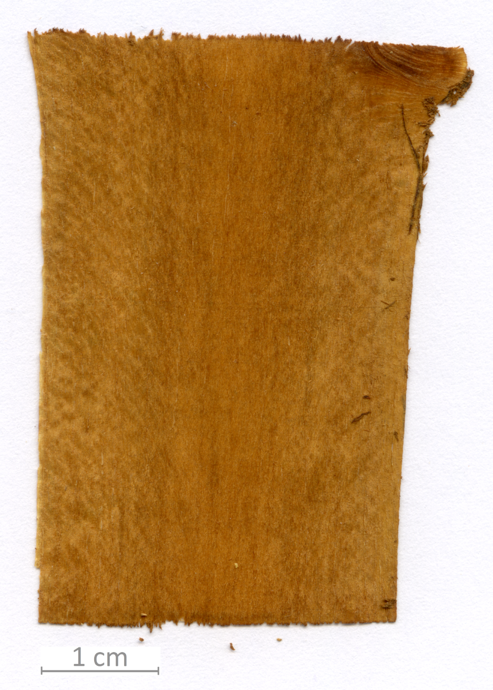 150_XT0048XX sezione longitudinale