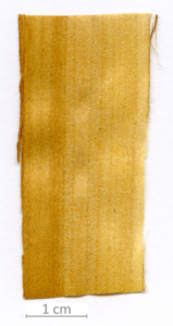 151_XT0101XX sezione longitudinale tangenziale