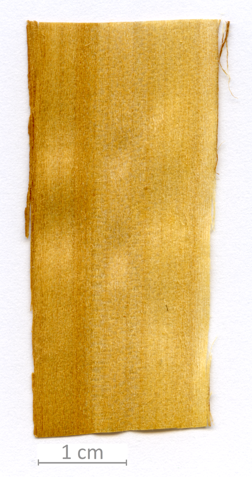 151_XT0101XX sezione longitudinale tangenziale