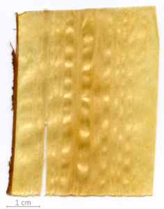 152_XT0001XX sezione longitudinale tangenziale