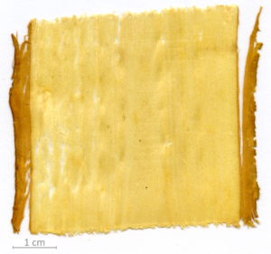 153_XT0047XX sezione longitudinale