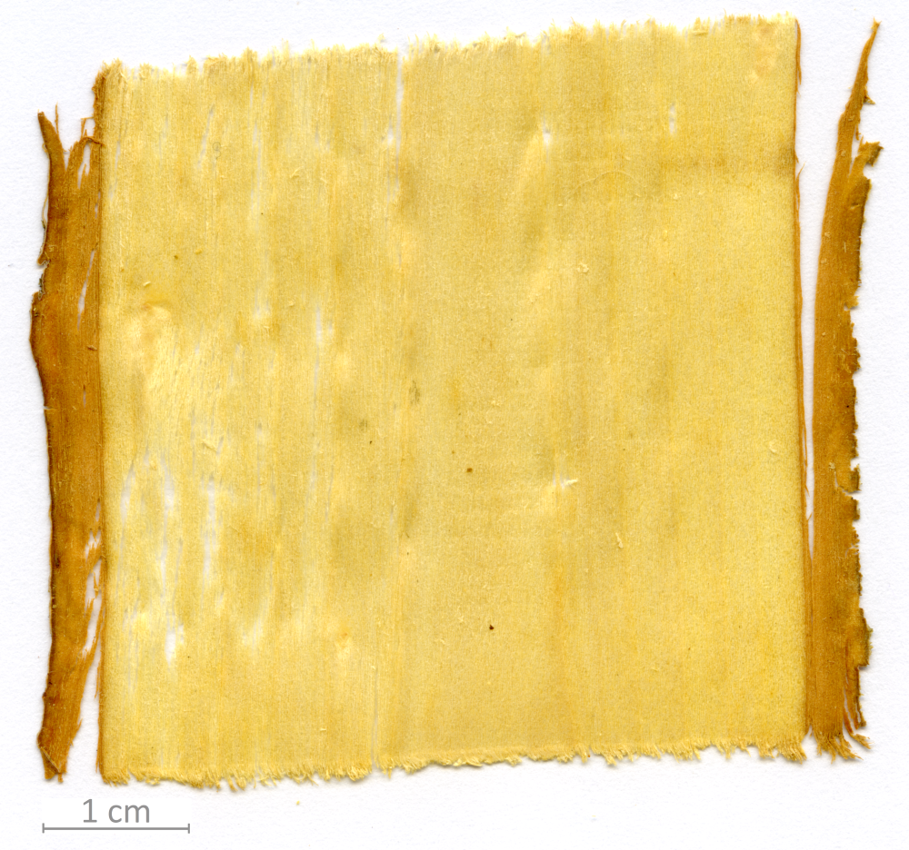 153_XT0047XX sezione longitudinale