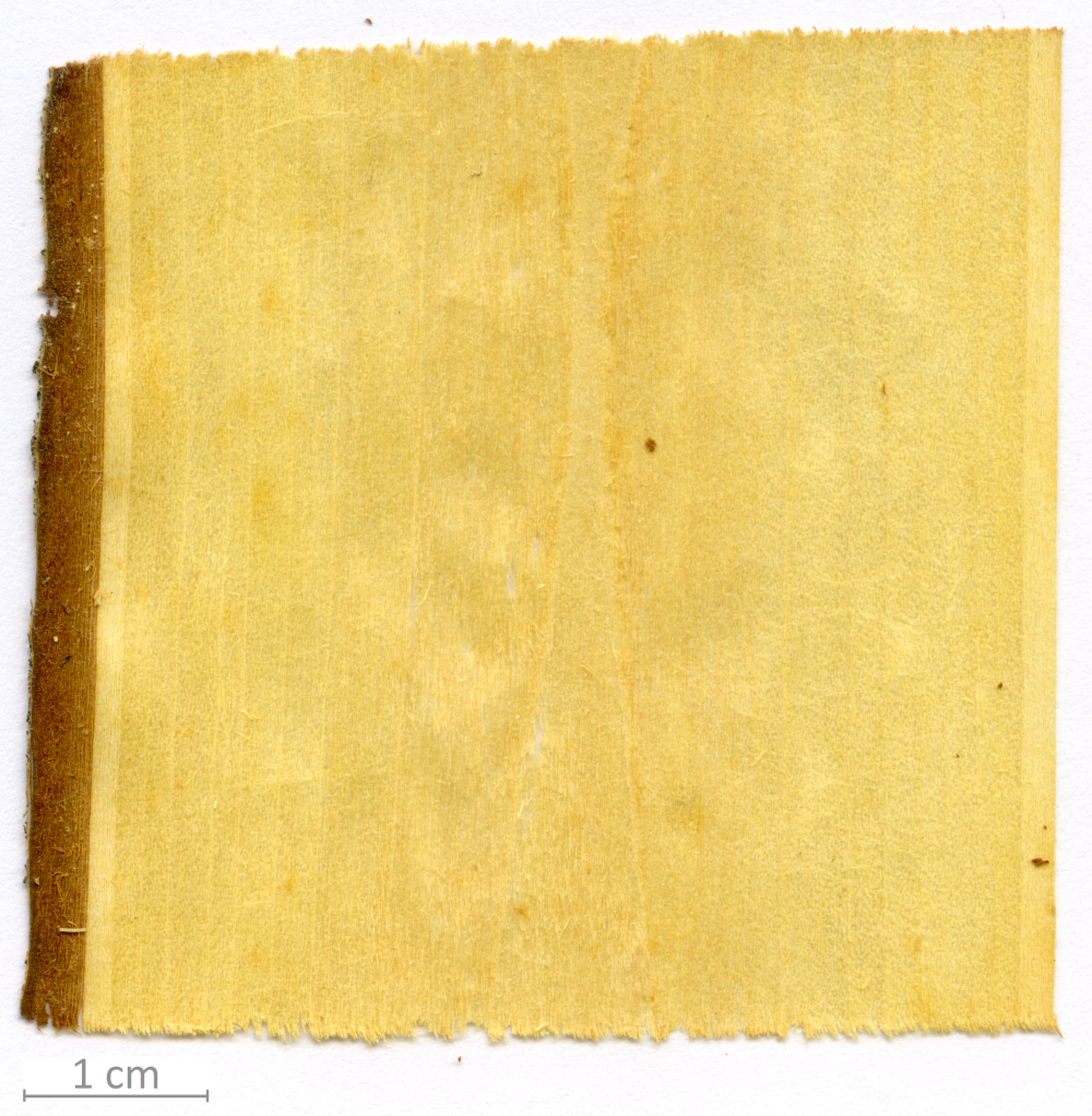 154_XT0081XX sezione longitudinale