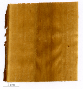 155_XT0123XX sezione longitudinale