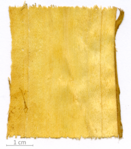 156_XT0124XX sezione longitudinale