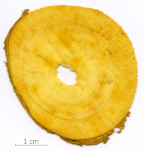 156_XT0124XX sezione trasversale