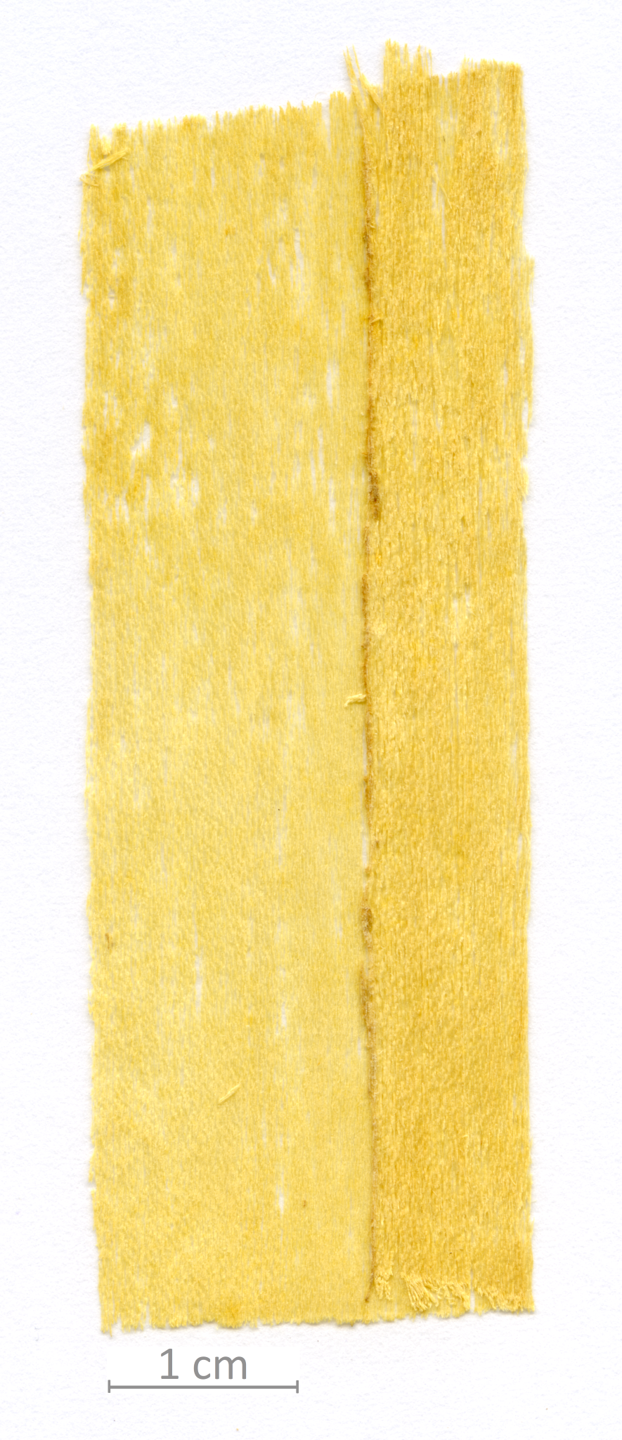 157_XT0100XX sezione longitudinale