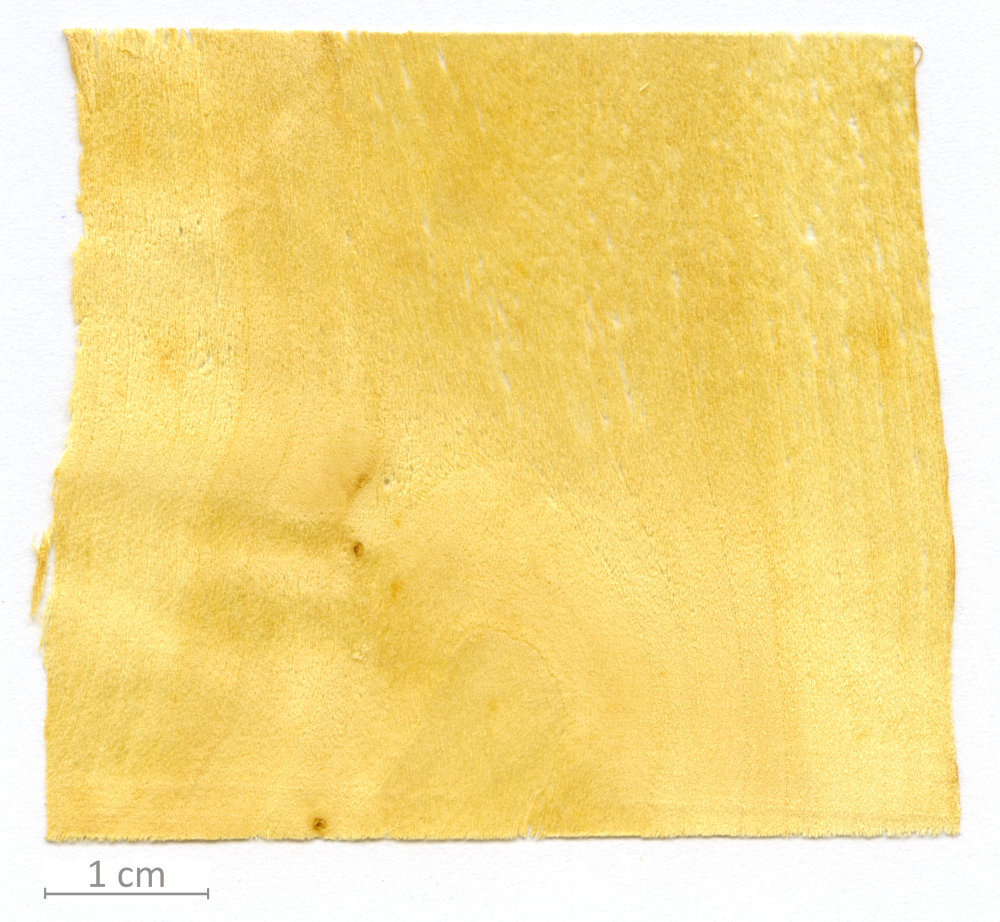 158_XT0110XX sezione longitudinale