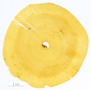 158_XT0110XX sezione trasversale