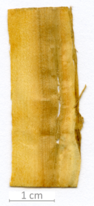 159_XT0059XX sezione longitudinale tangenziale