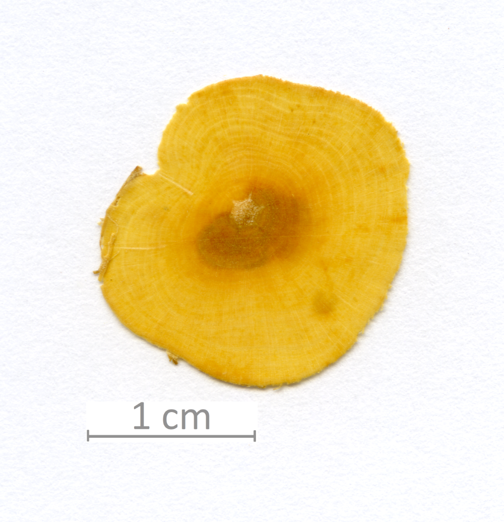 159_XT0059XX sezione trasversale