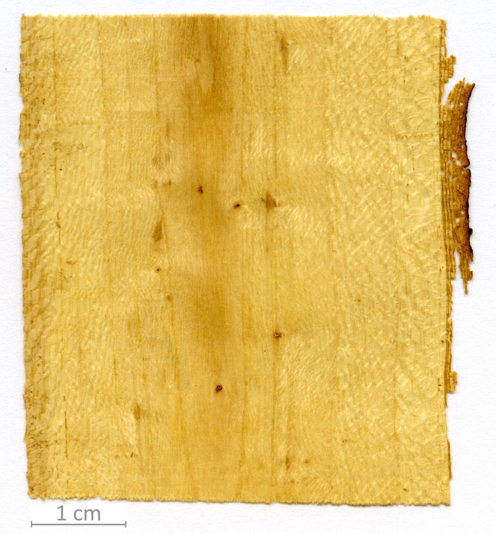 162_XT0089XX sezione longitudinale