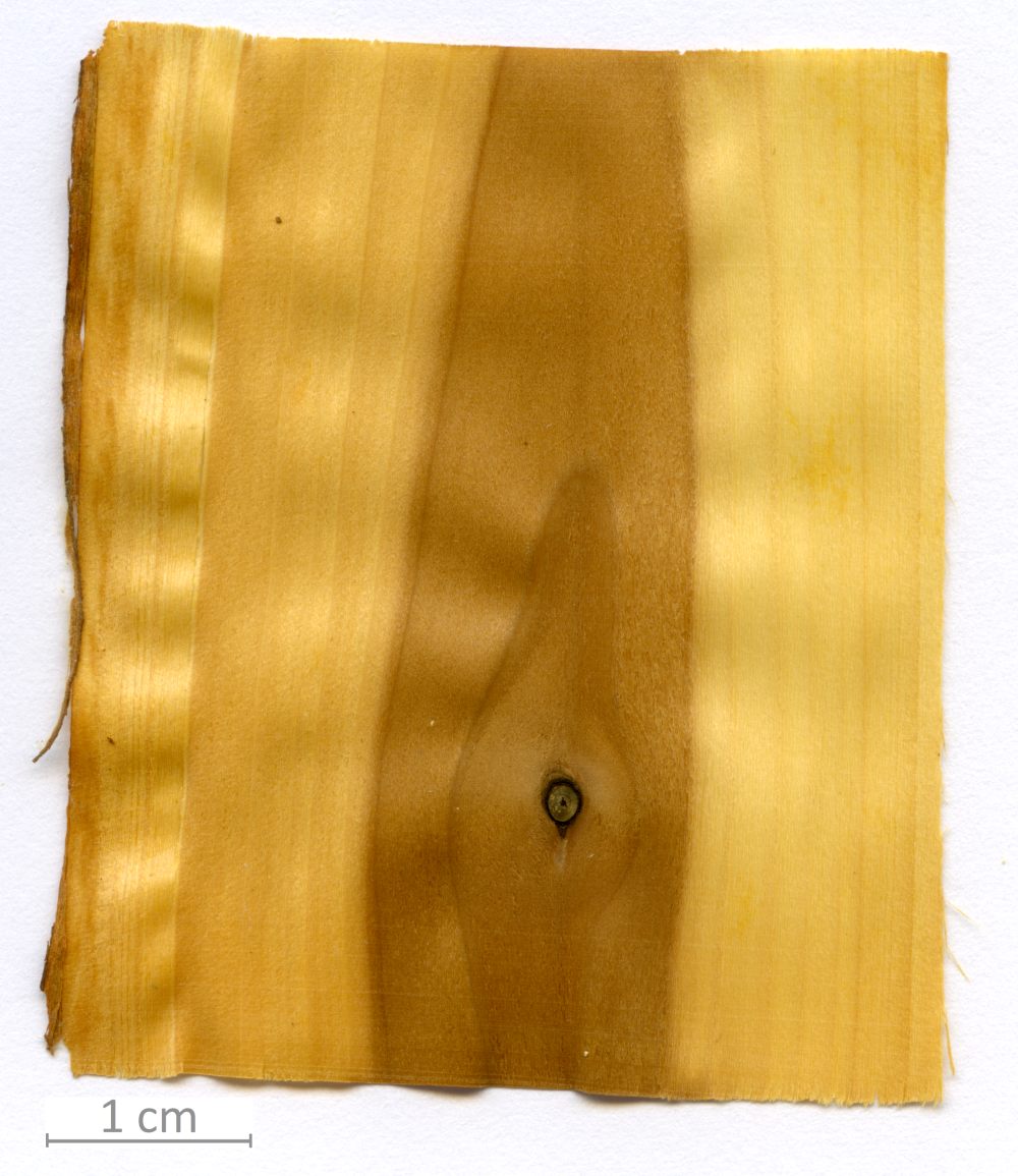 163_XT0131XX sezione longitudinale