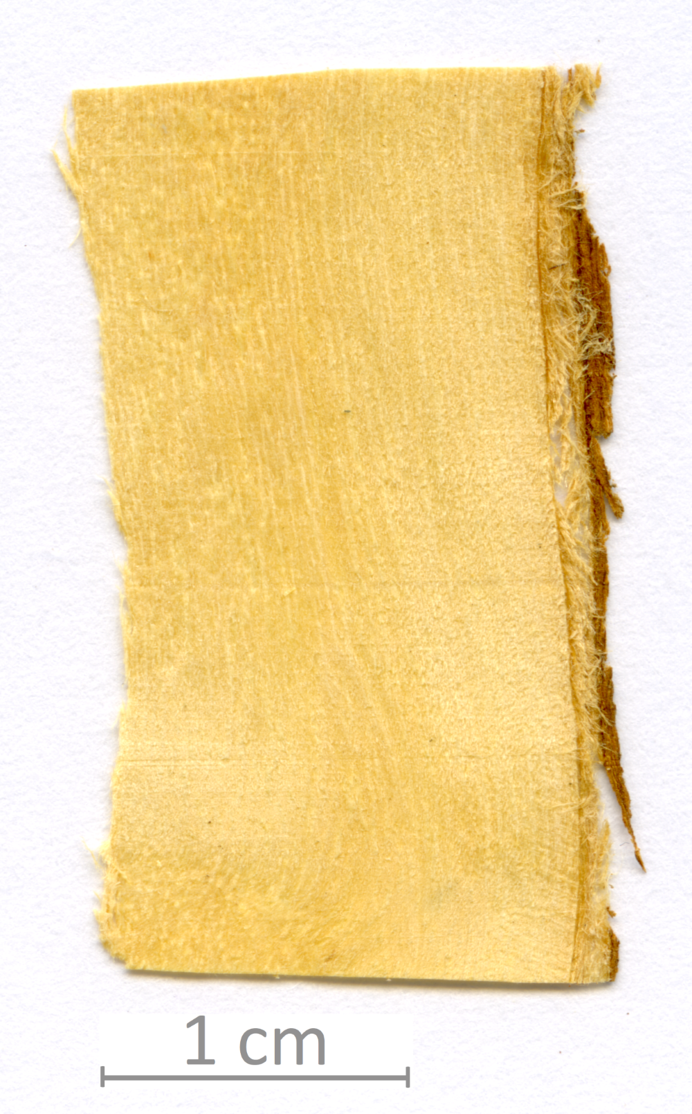 164_XT0012XX sezione longitudinale