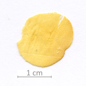 164_XT0012XX sezione trasversale