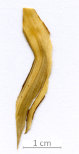 165_XT0069XX sezione longitudinale