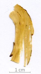 165_XT0069XX sezione longitudinale