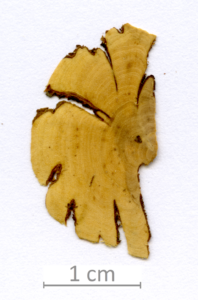 165_XT0069XX sezione trasversale