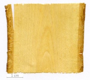 166_XT0148XX sezione longitudinale