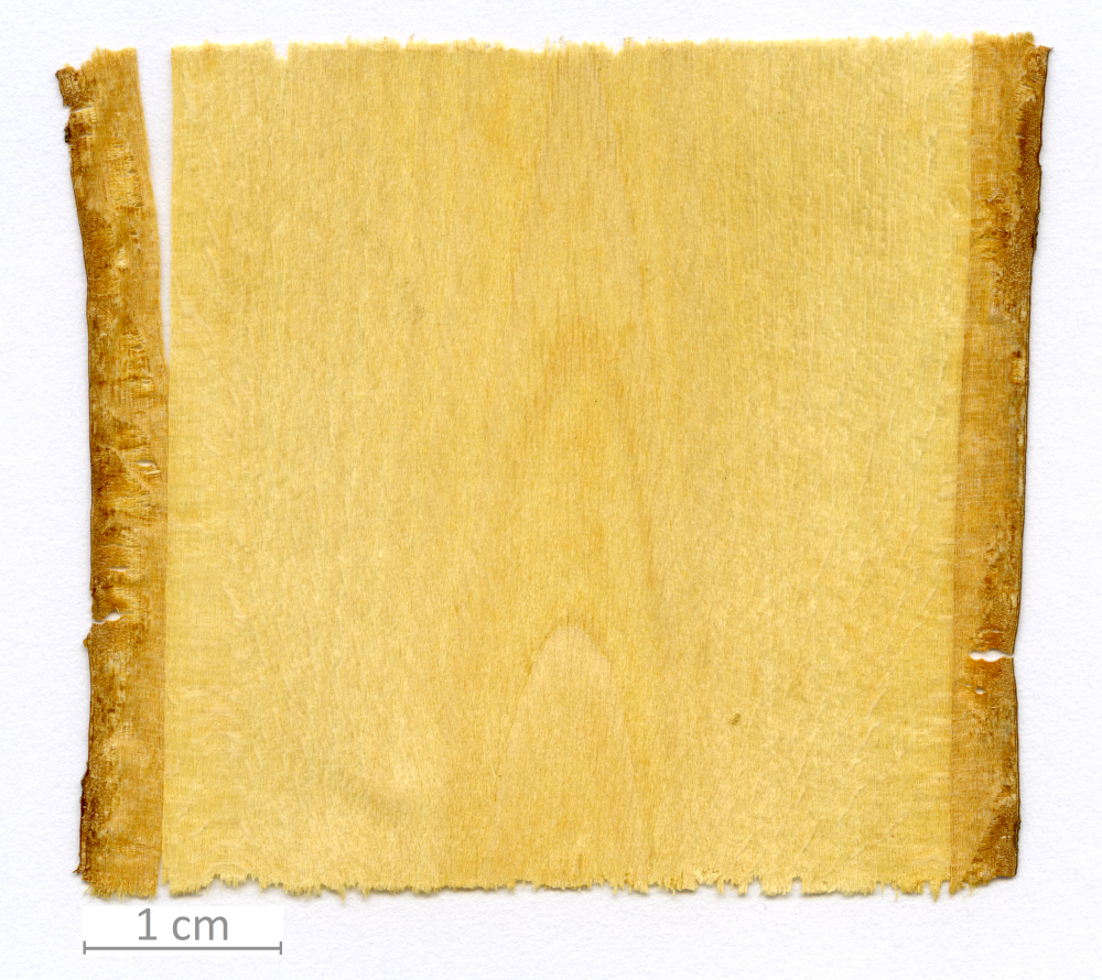 166_XT0148XX sezione longitudinale