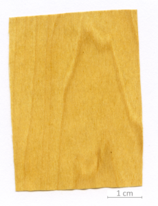 167_XT0107XX sezione longitudinale