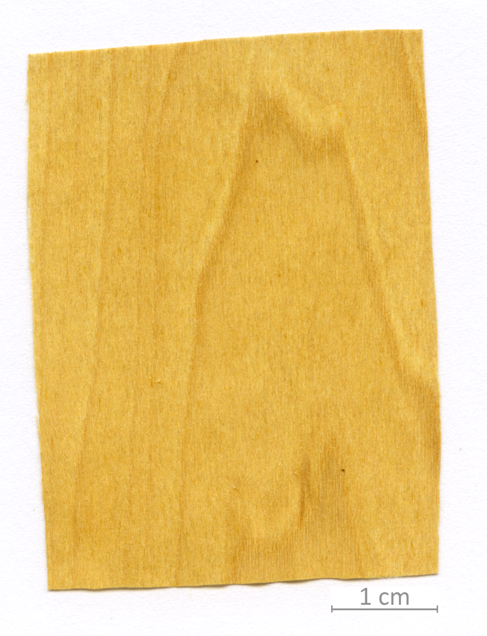 167_XT0107XX sezione longitudinale